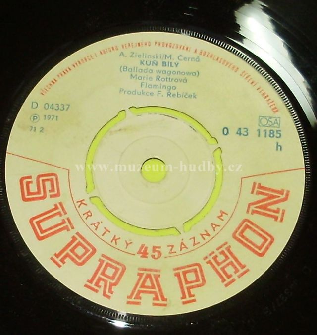 Flamingo / Marie Rottrová