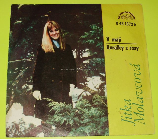 Jitka Molavcová