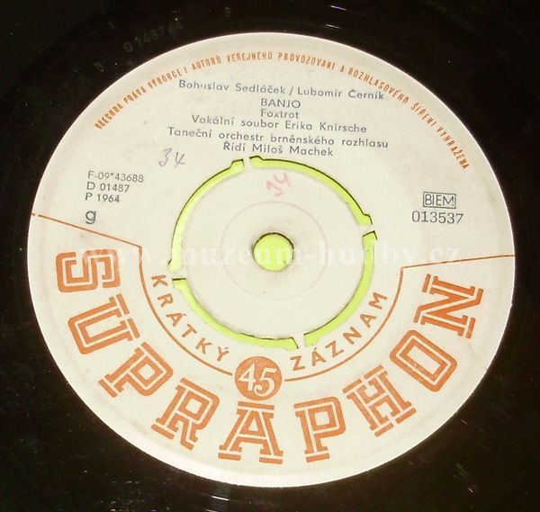 Karel Gott / Vokální Soubor Erika Knirsche