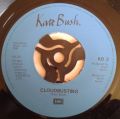 Kate Bush-Cloudbusting