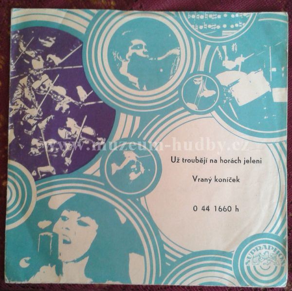 Pošumavská Dechovka Lesanka