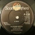 Survivor-Burning Heart / Feels Like Love