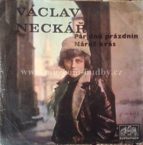 Václav Neckář, Bacily