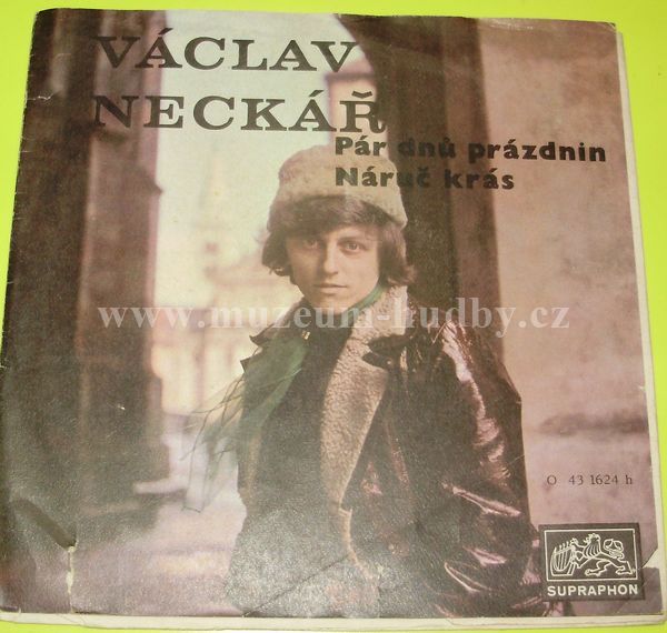 Václav Neckář, Bacily