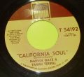 Marvin Gaye & Tammi Terrell-The Onion Song / California Soul