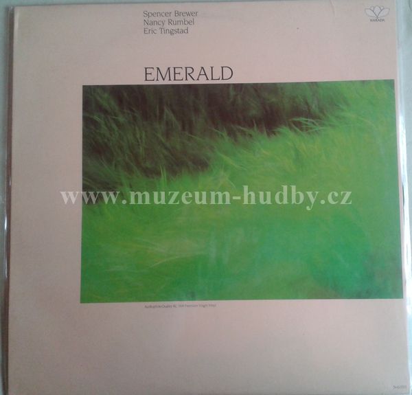 Spencer Brewer, Nancy Rumbel, Eric Tingstad