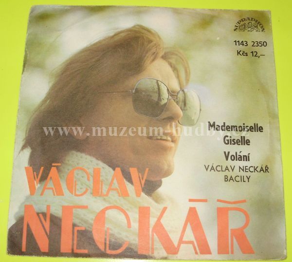 Václav Neckář, Bacily