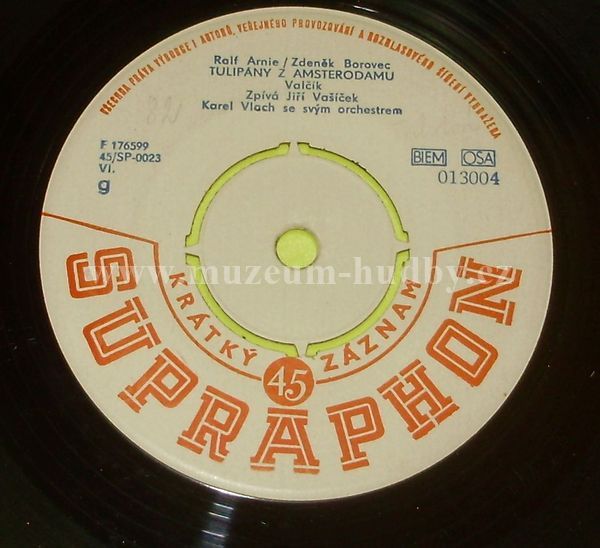 Jarmila Veselá, Jiří Vašíček