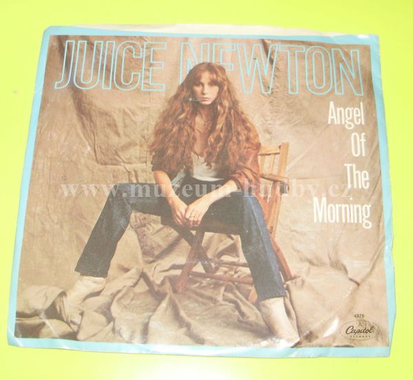 Juice Newton