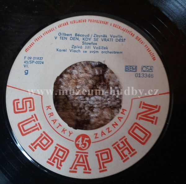 Jiří Vašíček / Vlasta Průchová