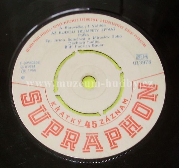 Jiřina Salačová, Miroslav Šuba, Standa Procházka