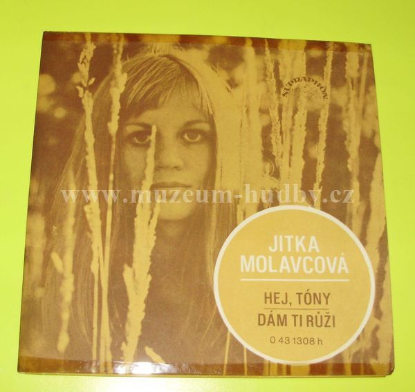 Jitka Molavcová