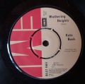 Kate Bush-Wuthering Heights / Kite