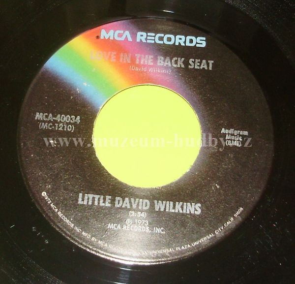 Little David Wilkins