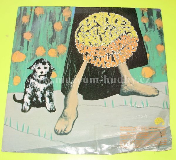 Prince & The Revolution