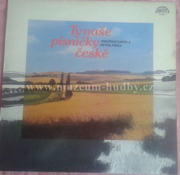 Pražská kapela Petra Finka