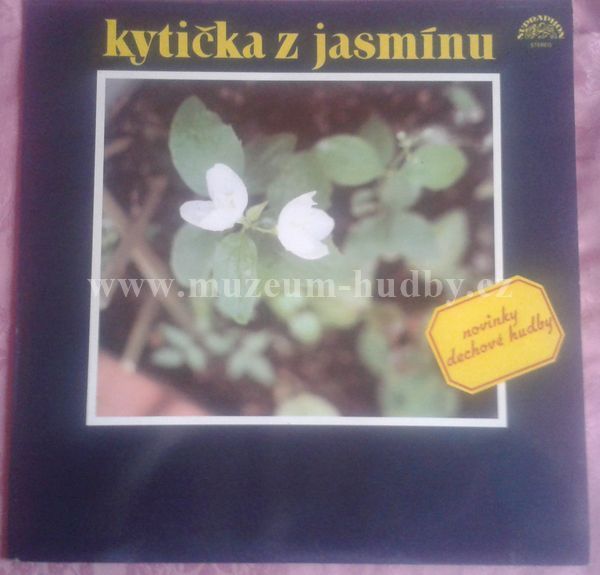 Pražská kapela Petra Finka