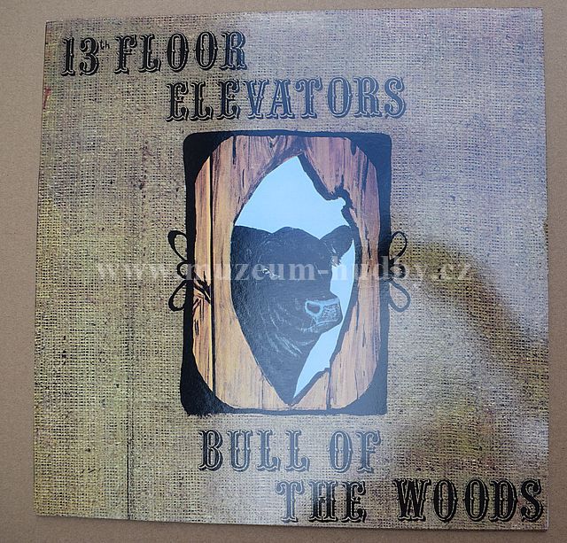 13th Floor Elevators