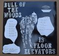 13th Floor Elevators-Bull Of The Woods