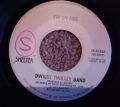 Dwight Twilley Band-I'm On Fire / Did You See What Happened?