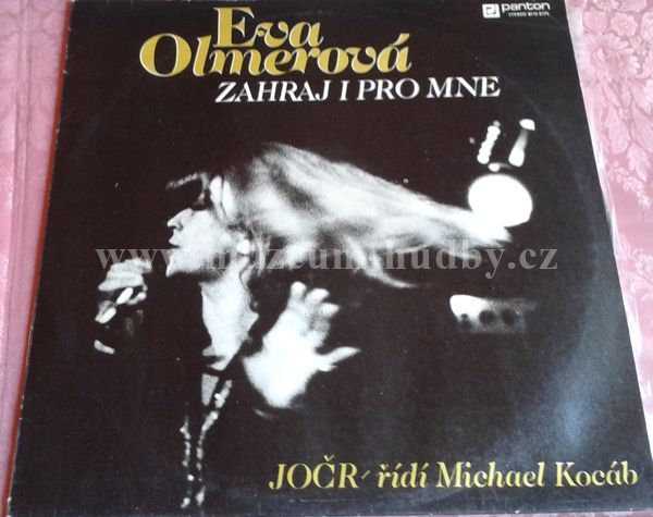 Eva Olmerová, JOČR řídí Michael Kocáb