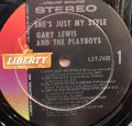 Gary Lewis & The Playboys-She's Just My Style