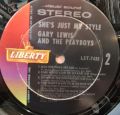 Gary Lewis & The Playboys-She's Just My Style