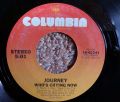 Journey-Who's Crying Now / Mother, Father