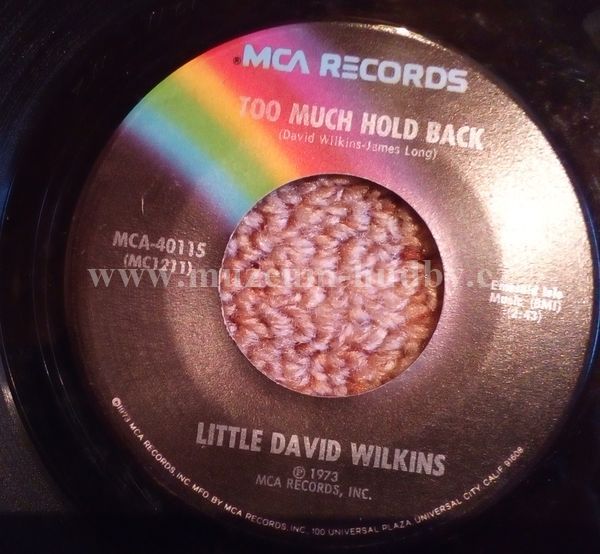 Little David Wilkins
