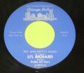 Lil Richard-St. patrick's day polka / Patt and Pattys polka