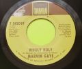 Marvin Gaye-Inner City Blues (Make Me Wanna Holler) / Wholy Holy