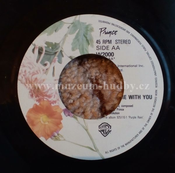 Prince And The Revolution