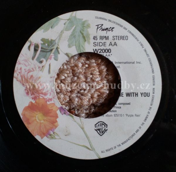 Prince And The Revolution