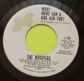 The Whispers-A Mother For My Children / What More Can A Girl Ask For