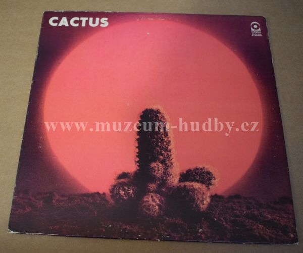Cactus