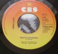 Jimmy Cliff-Reggae Night / Roots Radical
