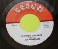 Joe Norman-Slipping around / The Night shift