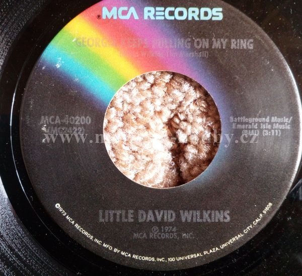 Little David Wilkins