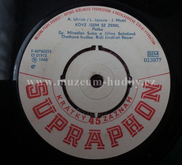 Miroslav Šuba / Jiřina Salačová