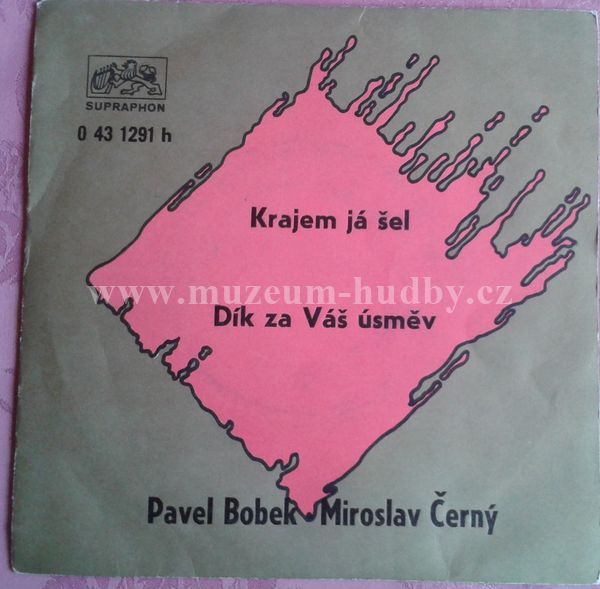 Pavel Bobek / Miroslav Černý
