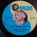 Stonewall Jackson-Herman Schwartz / Lovin' The Fool Out Of Me