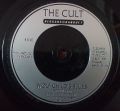 The Cult-Love Removal Machine / Wolf Child's Blues / Conquistador / Groove Co