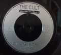 The Cult-Love Removal Machine / Wolf Child's Blues / Conquistador / Groove Co