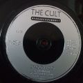 The Cult-Love Removal Machine / Wolf Child's Blues / Conquistador / Groove Co