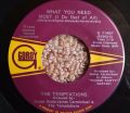 The Temptations-Keep Holding On / What You Need Most