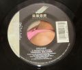 Vanessa Williams-Dreamin' / The Right Stuff (Instrumental)