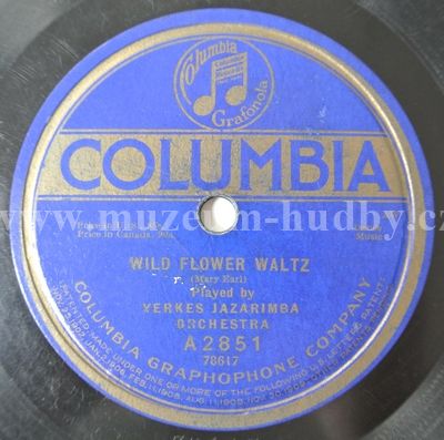 Yerkes Jazarimba Orchestra / Prince's Dance Orchestra