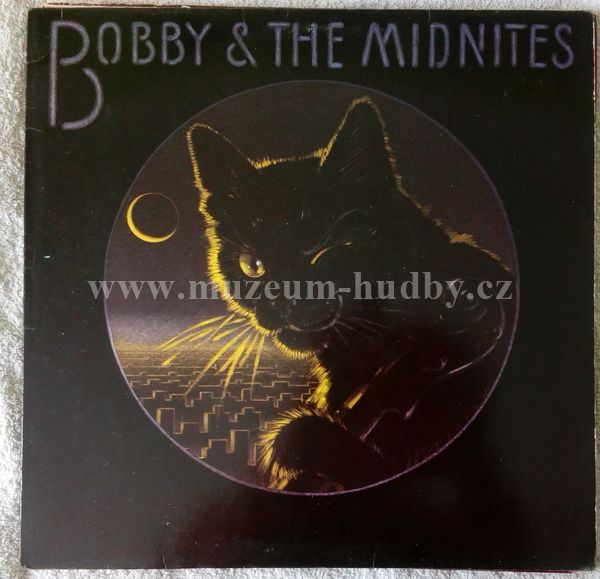 Bobby & The Midnites