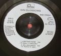 Gin Blossoms-Hey Jealousy