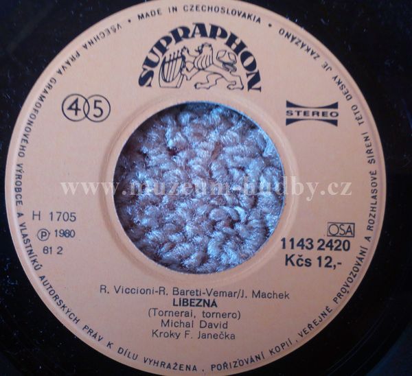 Michal David, Kroky F. Janečka